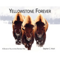 Yellowstone Forever: A Decade in Yellowstone National Park - Paperback