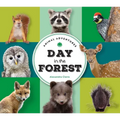 Animal Adventures: Day in the Forest - Board Book