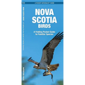 Nova Scotia Birds: A Folding Pocket Guide to Familiar Species