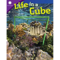 Life in a Cube - Paperback