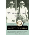 A World Without Time: The Forgotten Legacy of Godel and Einstein - Paperback