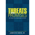 Threats and Promises: The Pursuit of International Influence - Paperback
