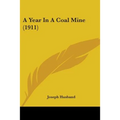 A Year In A Coal Mine (1911) - Paperback