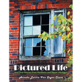 Pictured Life: And True Stories from Northern and Upper Michigan - Paperback