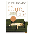 Cure for the Common Life: Living in Your Sweet Spot - Paperback