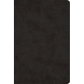 Large Print Bible-ESV - Imitation Leather