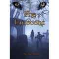The Innocent - Paperback