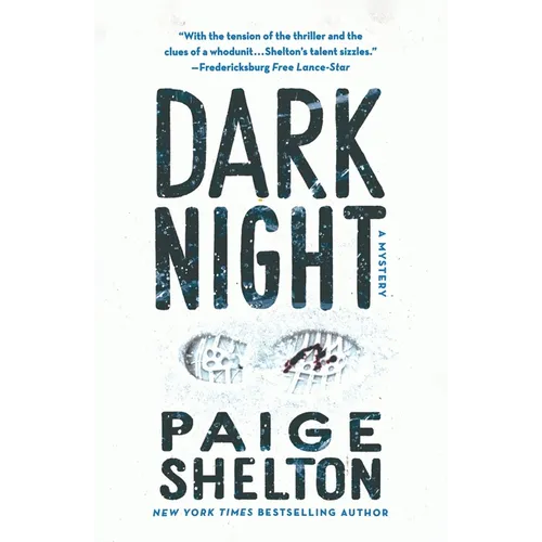 Dark Night: A Mystery - Paperback