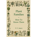 Plant Families - How to Know Them - Paperback