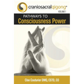 CRANIOSACRALQIGONG Volume 1: Pathways To Consciousness Power - Paperback