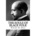 The Souls of Black Folk - Paperback