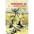Aventuras de un niño irlandés - Paperback