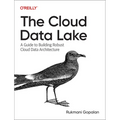The Cloud Data Lake: A Guide to Building Robust Cloud Data Architecture - Paperback