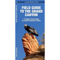 Grand Canyon, Field Guide to The, 2nd Ed: A Folding Pocket Guide to Familiar Animals & Plants - Paperback