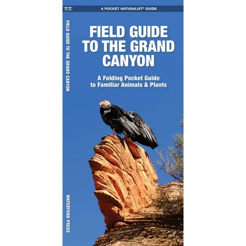 Grand Canyon, Field Guide to The, 2nd Ed: A Folding Pocket Guide to Familiar Animals & Plants - Paperback