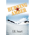 Burning Amber - Paperback