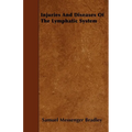 Injuries And Diseases Of The Lymphatic System - Paperback