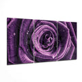 Rose Glass Wall Art