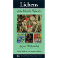 Lichens of the North Woods - Paperback