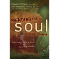 A Mending the Soul: Understanding and Healing Abuse (Student) - Paperback