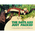 The Days Are Just Packed: A Calvin and Hobbes Collection Volume 9 - Paperback