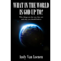 What in the World is God Up To?: Why things are the way they are and why you should believe - Paperback