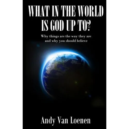 What in the World is God Up To?: Why things are the way they are and why you should believe - Paperback