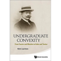 Undergraduate Convexity - Paperback