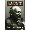 Family Therapy in Clinical Practice - Paperback