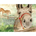 The Christmas Donkey - Paperback