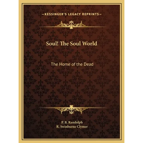 Soul! The Soul World: The Home of the Dead - Hardcover