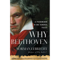 Why Beethoven: A Phenomenon in One Hundred Pieces - Hardcover