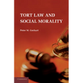 Tort Law and Social Morality - Paperback