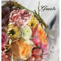 Wedding GUEST BOOK (Hardback), Visitors Book, Comments Book, Guest Comments Book, House Guest Book, Party Guest Book: For weddings, special events & f - Hardcover