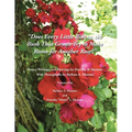 Does Every Little Bud on the Bush That Grows Try to Make Room for Another Rose? - Paperback