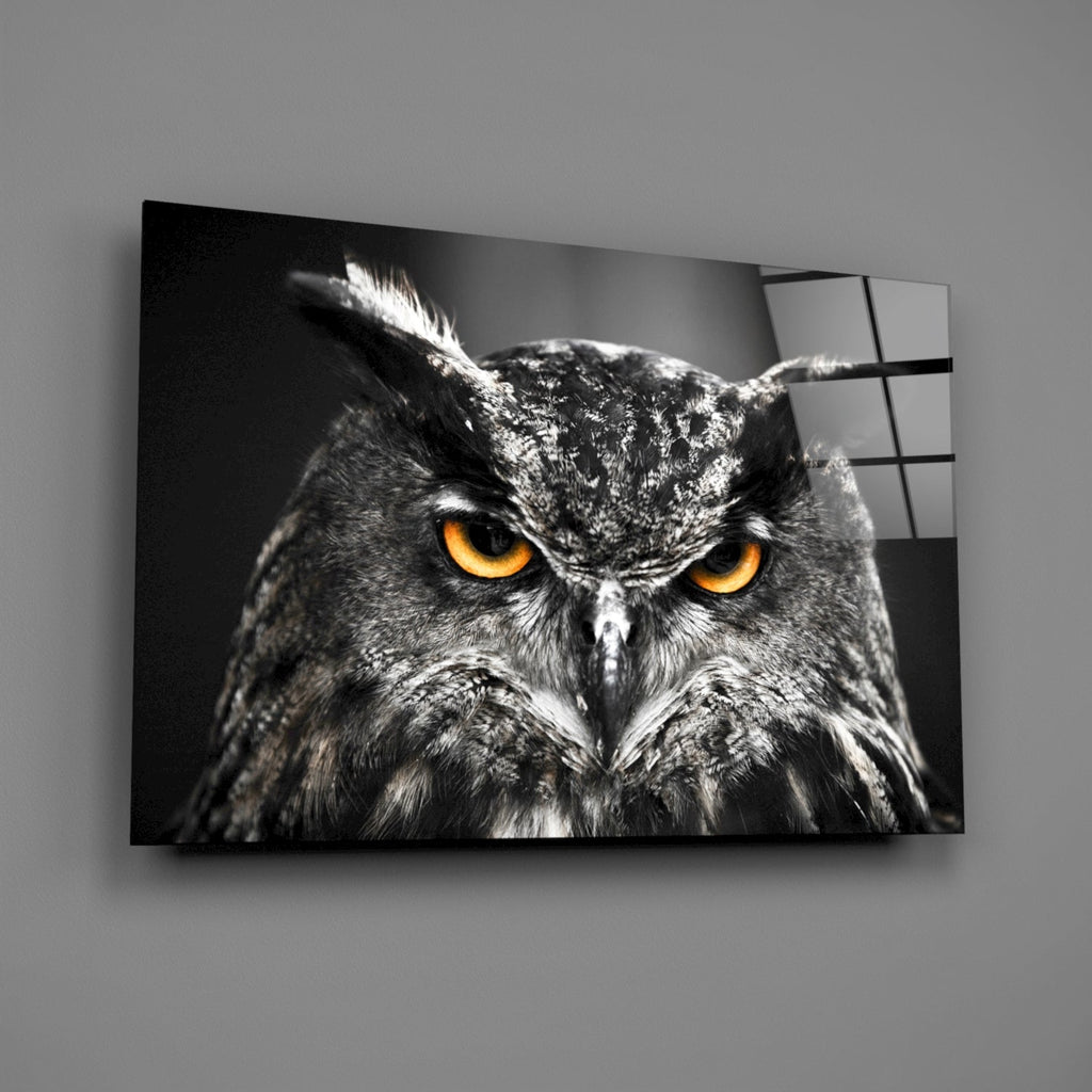 Owl Glass Wall Art