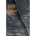 Blood Ritual in the Hebrew Bible: Meaning and Power - Hardcover