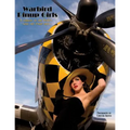 Warbird Pinup Girls: A Tribute to the 1940's Nose Art Pinup Girls - Paperback