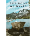 The Book of David: Capturing the Spirit of the Great American Short Story - Paperback