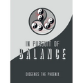 In Pursuit of Balance - Paperback