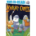 Knight Owls: Ready-To-Read Pre-Level 1 - Hardcover