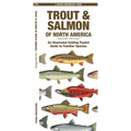 Trout & Salmon of North America, 2nd Ed: An Illustrated Folding Pocket Guide to Familiar Species - Paperback