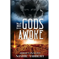 The Gods Awoke - Paperback