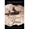 In the Footsteps of Jesus: A chronological journey through the gospels set in the geography, politics, people, power, culture and history of the day - Paperback
