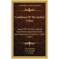 Condition Of The Indian Tribes: Report Of The Joint Special Committee, Appointed Under Joint Resolution Of March 3, 1865 (1867) - Hardcover