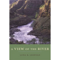 A View of the River - Paperback