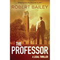 The Professor - Paperback