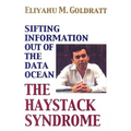 The Haystack Syndrome: Sifting Information Out of the Data Ocean - Paperback