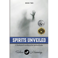 Spirits Unveiled: A Theological Unveiling of the Spiritual Realm - Paperback