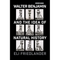 Walter Benjamin and the Idea of Natural History - Paperback